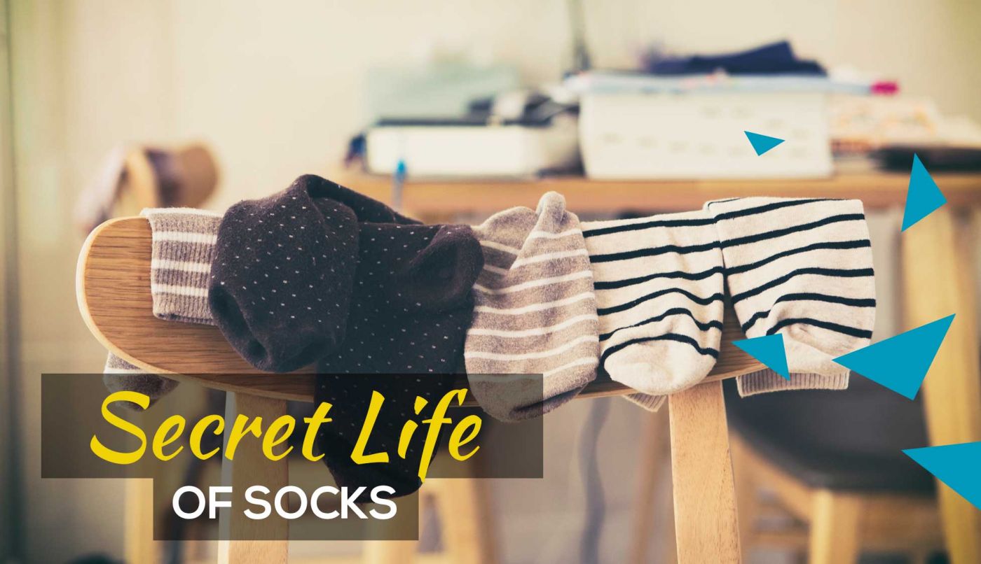 secretlifeofsocks_16x9_website_mq